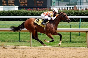 512px-Horseracing_Churchill_Downs